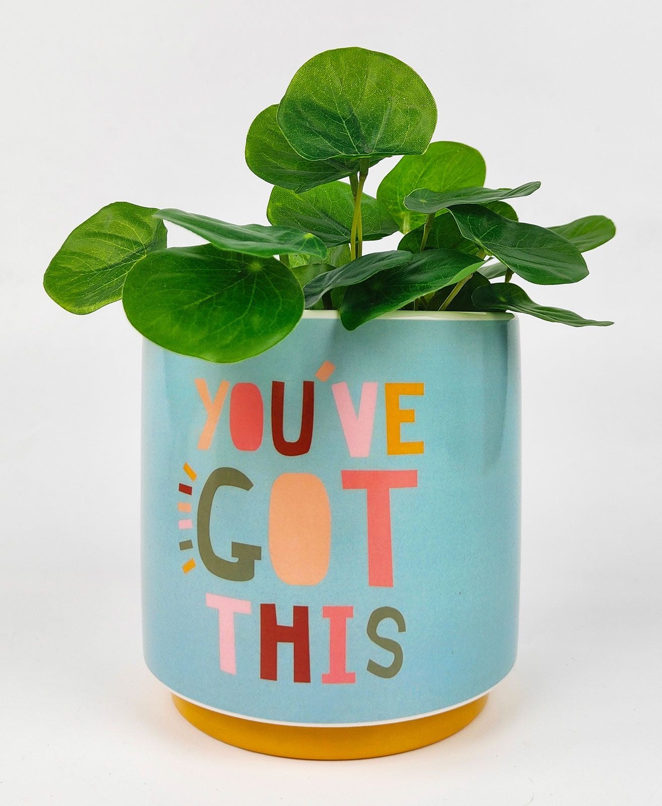 Funky Quote Youve Got This Planter
