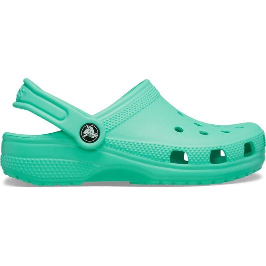 Croc Todd Lagoon