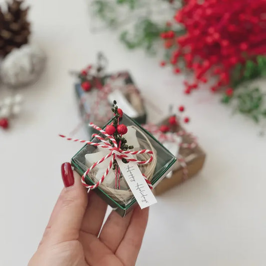 Christmas Scent Soap Favors