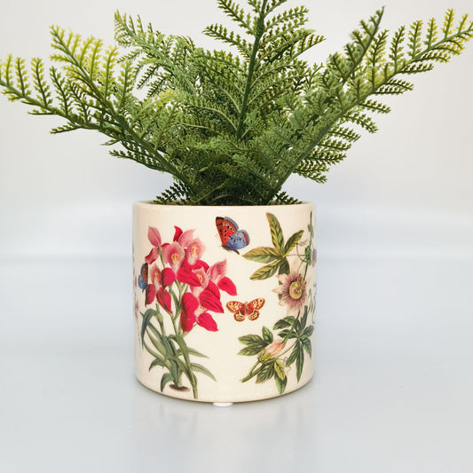 Botanicals Planter Green 12cm