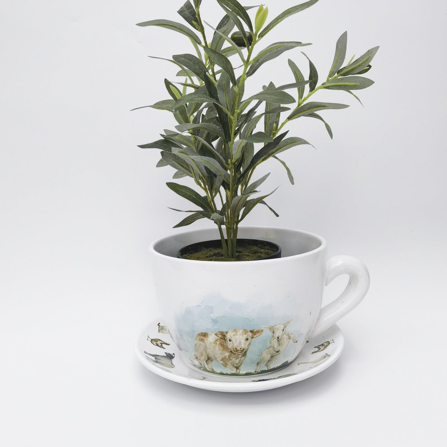 Highland & Friends Tea Cup Planter