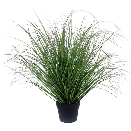 Sea Grass in Black Pot