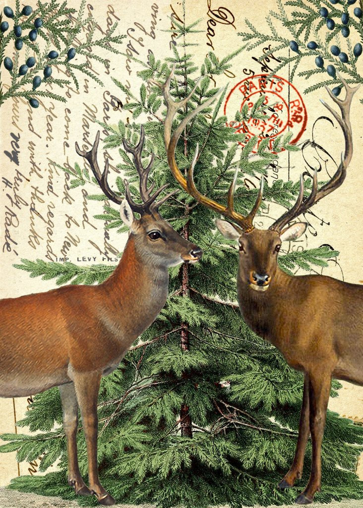 Stags & Christmas Tree Card