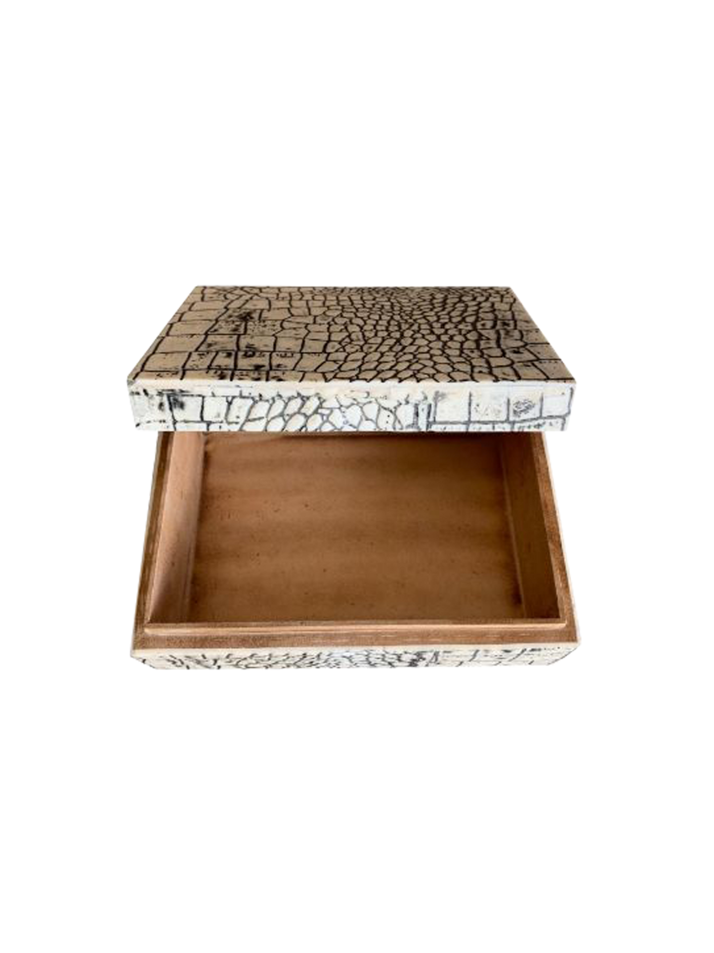 Crocodile Design Storage Box